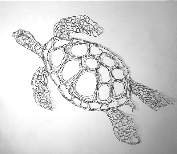 "Sea Turtle" - Elizabeth Berrien